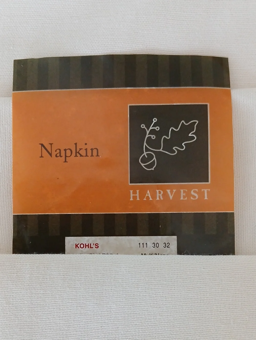HARVEST Embroidered Fall Leaves Corner Dinner Napkins 20.5x20